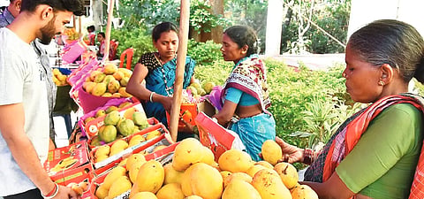 MAAVU MELA