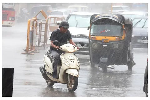 Rain Vehicle Road