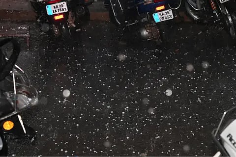 Rain New22
