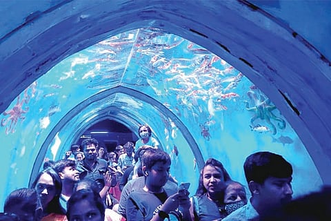 Sea Subway Fish Exhibition