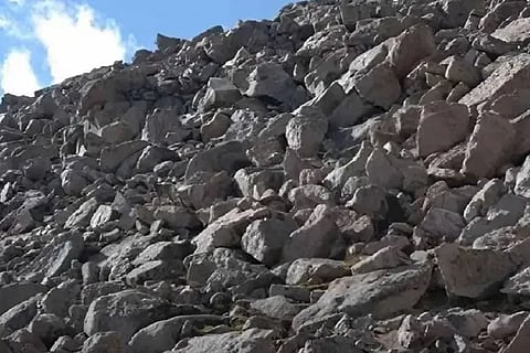 Spot the Goat