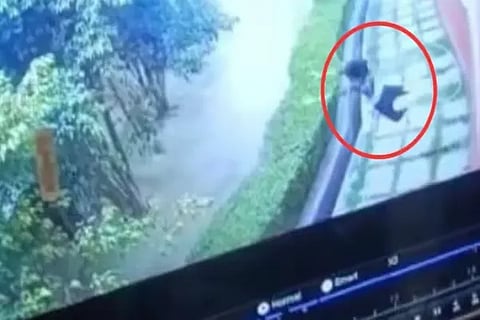 Student Death
