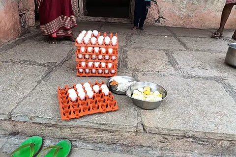 VJP EGG