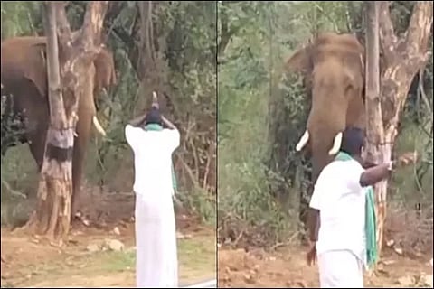 Viral Video