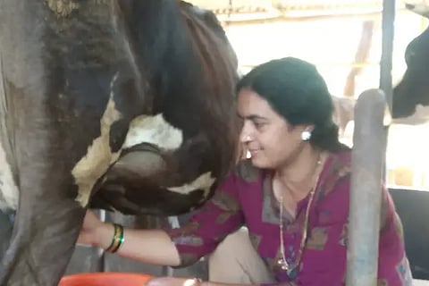 Woman doing Dairy Work