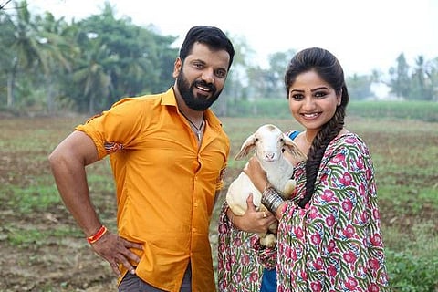 ayogya