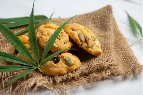cannabis cookies