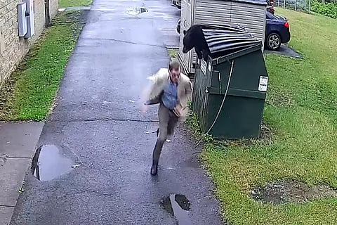 deer attack
