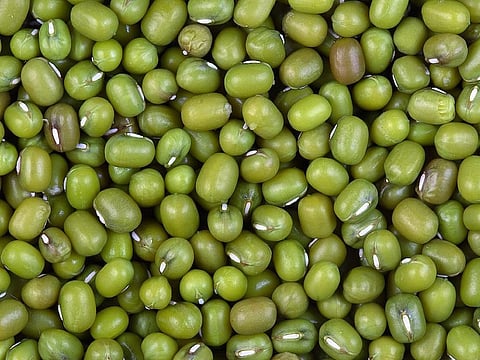 greengram.jpg