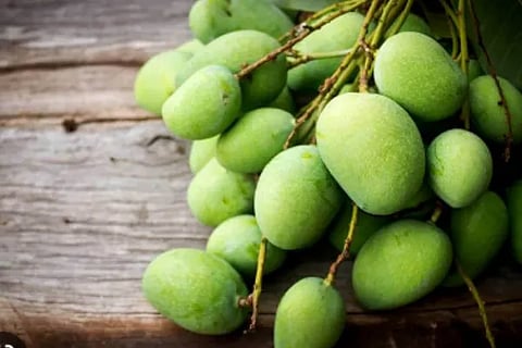 mango