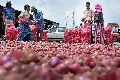 onion prices