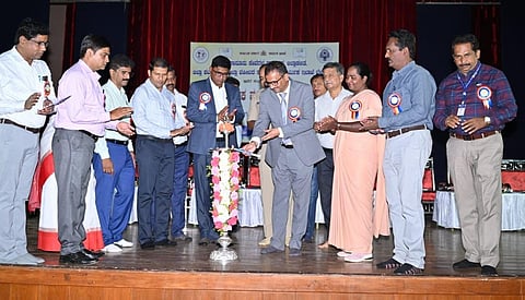 12-Jaggu-4.jpg