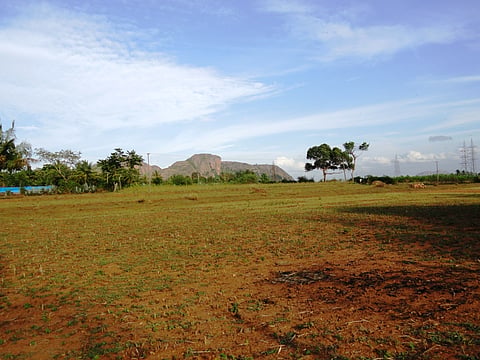 19 Rmg bara