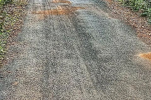 21-yallapur road