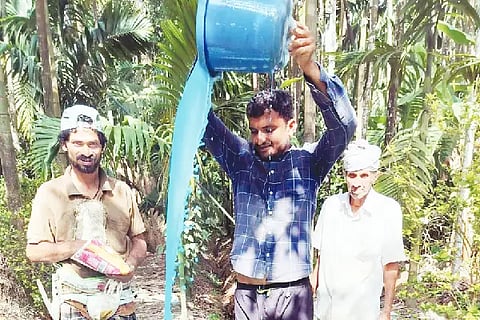 25-SIRSI MAILU TUTHA