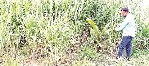 27 HDK 04