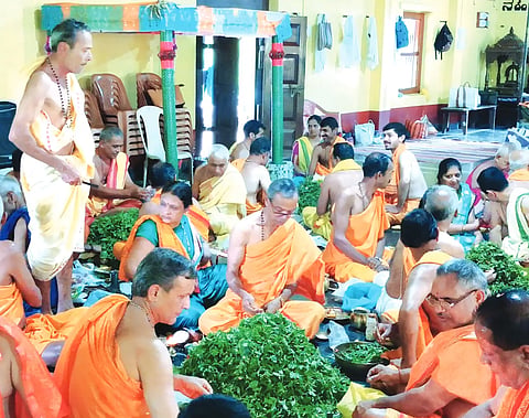 29 ylp news 01 (ekadashi)