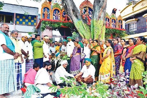 30-BYD KATTE MADUVE