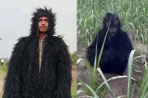 Bear costume