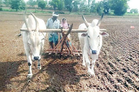 FARMER KALAGHATAGI