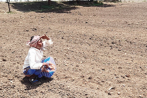 Farmer Watching Rain