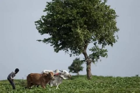 Farmer