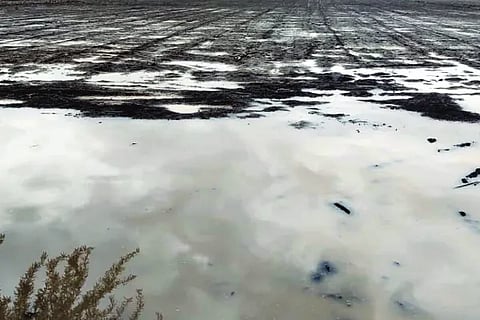 Farmers rejoice over good rains in Indi