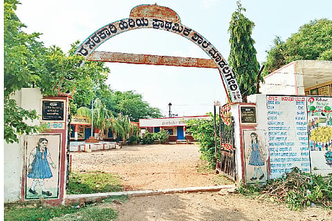 Government School