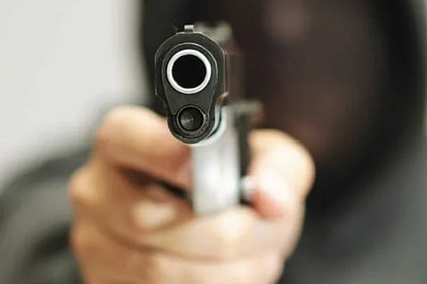 Gun