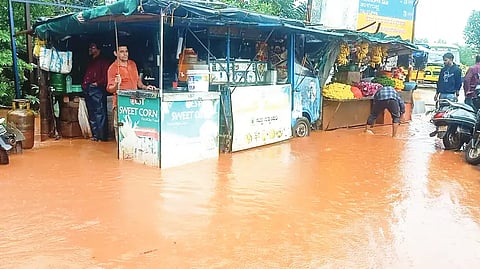 HONNAVAR RAIN 24