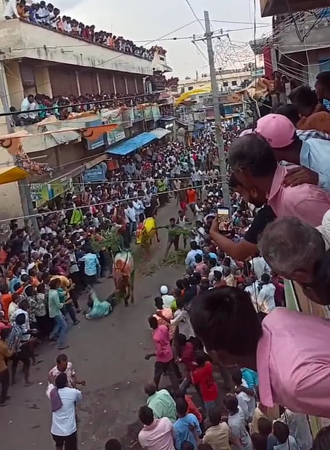 IMG_20230605_082133.webp