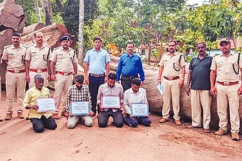 Illigale Timber transport Accuced arrested
