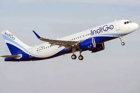 Indigo