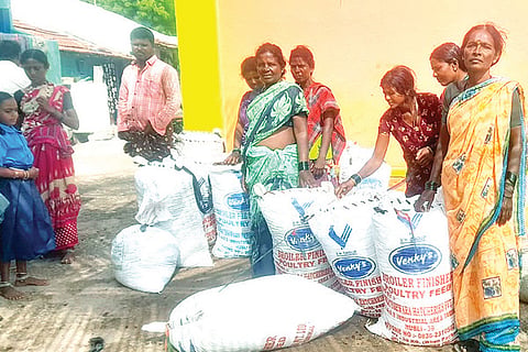 KOgali Neem Seeds