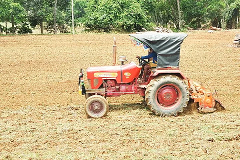 Koorgi agriculture