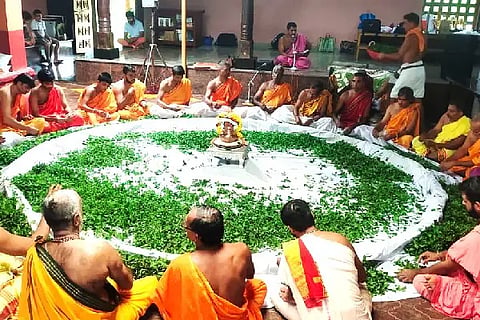 LAKSHA TULASI