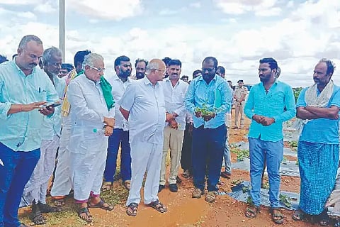 Crop, Damage, Report, MLA,