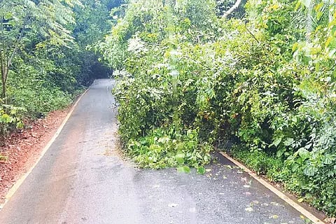 Maala Ghat Road