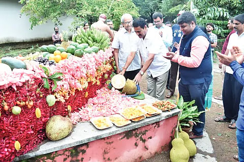 Pilikula