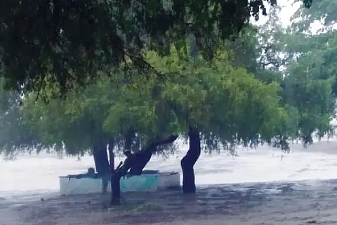 RONA RAIN