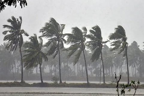 Rains