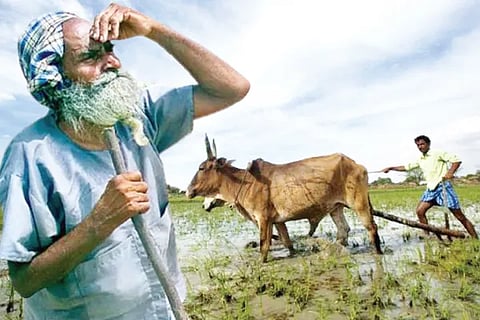 Rain and Agriculture
