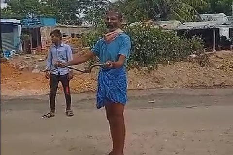 SNAKE BIT