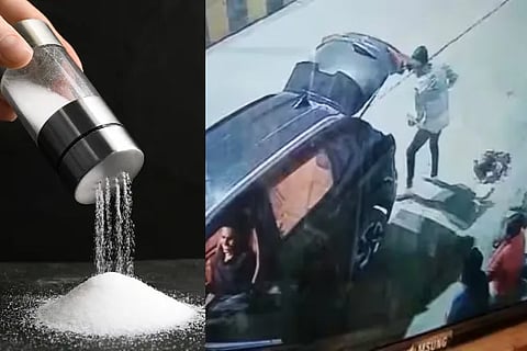 Salt Thiefs