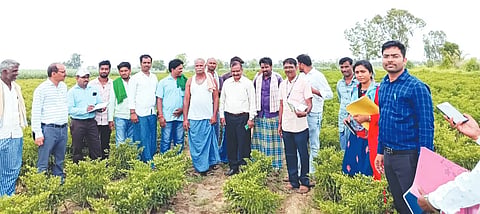 hanagal akkialur