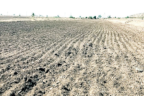 Sindhanuru Land Ready to Sowing