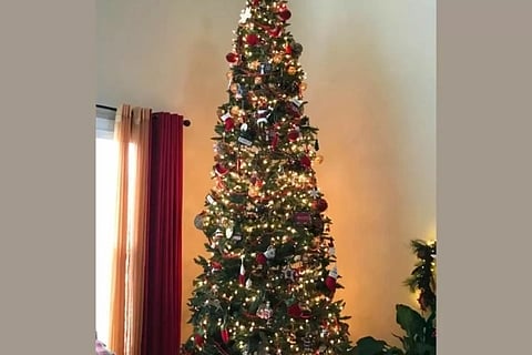 Spot the Cat