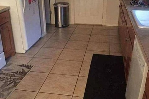 Spot the Dog 1