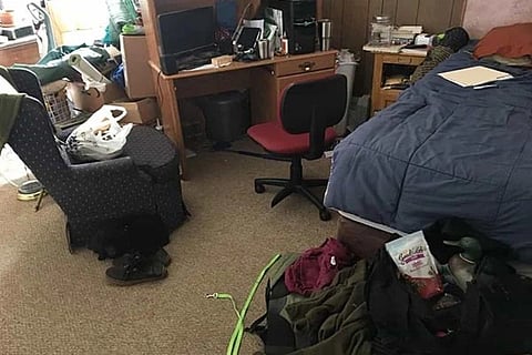 Spot the Dog 1