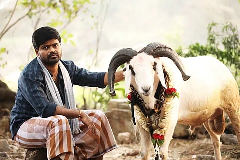Tagaru Palya F